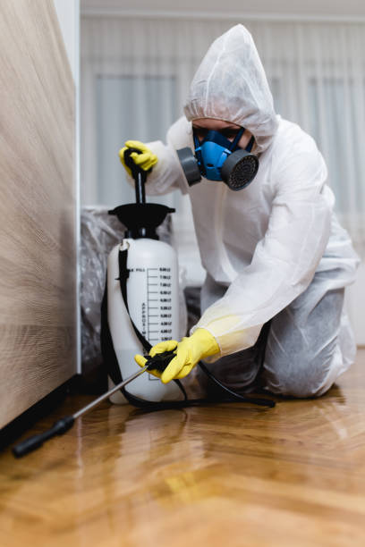 Indoor Pest Control in Cliffside Park, NJ